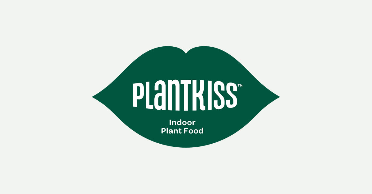 plantkiss-indoor-plant-food-spikes