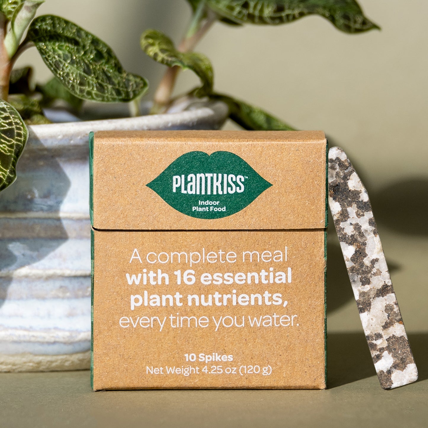 PlantKiss Indoor Plant Food