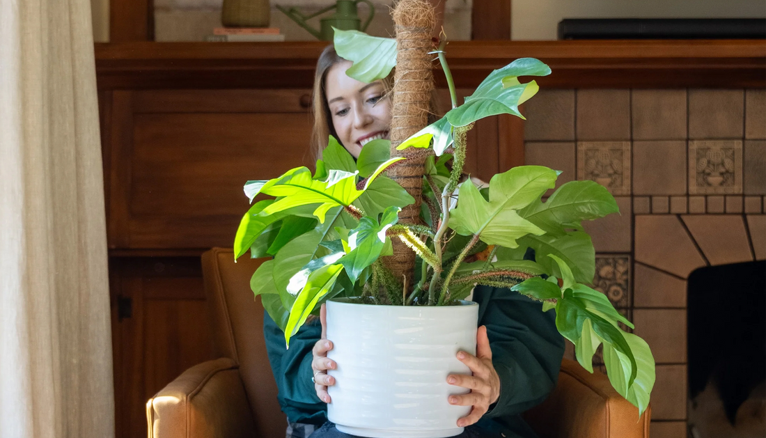 Woman sitting in a chair holding her plant