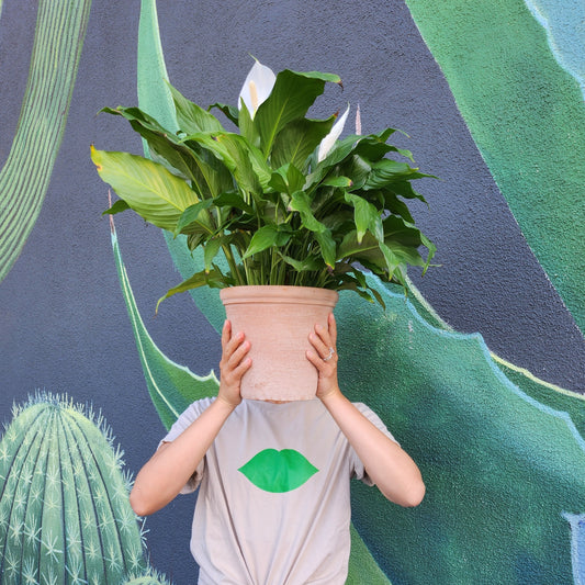 PlantKiss Super Soft Tee